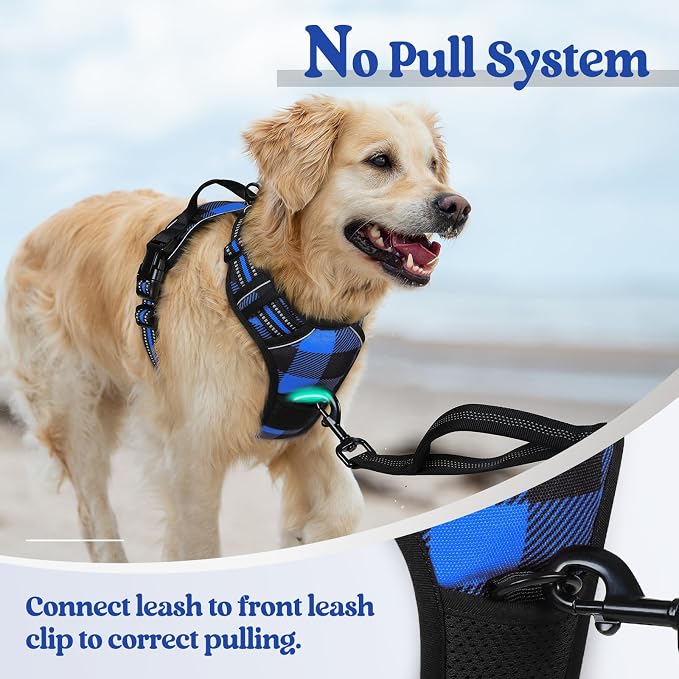 rabbitgoo Dog Harness, No Pull for Large Dogs with 2 Leash Clips, Pet Vest | No Choke with Handle, Adjustable Soft Padded, Reflective, Easy Control for Walking, Blue Plaid, Small - Image 5