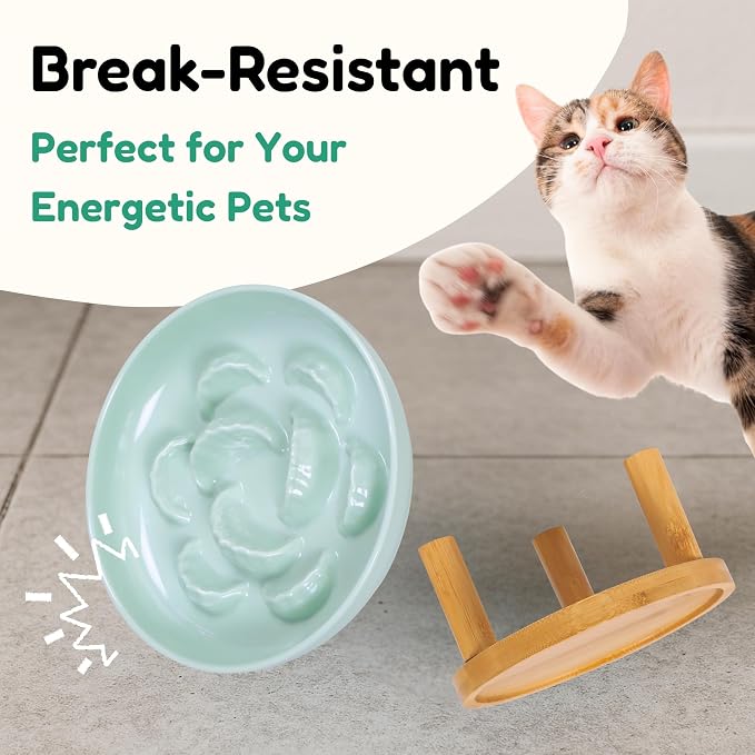Slow Feeder Bowl, 6.3″ Elevated Cat Bowl with Stand, Melamine Wide Shallow Food Bowl, Whisker-Friendly Raised Plate, Wet Food Feeder for Slow Eating (Green) - Image 6