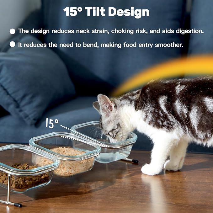 Elevated Cat Bowls, 15° Tilted Glass Raised Cat Food and Water Bowl | Stainless Steel Stand, 3 Large Capacity Glass Cat Bowls and 4 Anti Slip Feet, Suitable for Cats and Little Dogs - Image 2