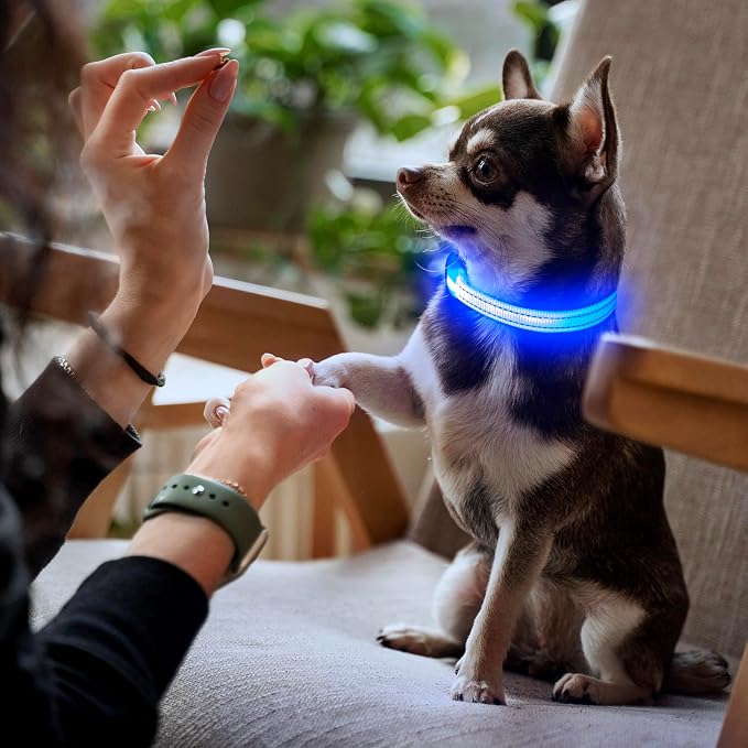 YFbrite LED Dog Collar XS, Lightweight Cat Collar Light, Comfortable Light Up Puppy Collars, USB Rechargeable Adjustable Puppy Walking Safety Light (Blue, XS) - Image 6