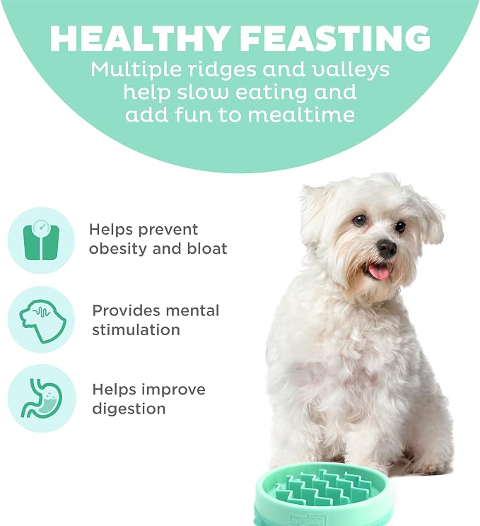 Outward Hound Fun Feeder Slo Bowl – Small 3/4-Cup Capacity, Slow Feeding, Small Dogs, Puppies & Cats, Non-Slip, Mint, Wave Pattern | Slows Fast Eaters, Can Aid Digestion, Holds 3/4 Cup Dry or Wet Food, Non-Slip Base, No BPA, Small Dogs, Puppies & Cats - Image 2