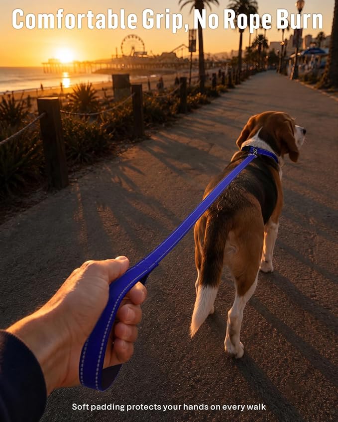 FunTags Reflective Nylon Dog Leash for Small & Medium Dogs, 4FT Training | Comfortable Padded Grip, Stay Safe at Night, 360° Anti-Tangle Swivel, for Dog Parks & Trails, Royal Blue - Image 2