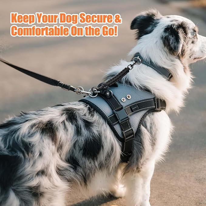 Dog Collar Safety Clip, Collar Companion, Handmade Backup Safety Strap, Double-Ended Clip Leash Connector, Suitable for Dog Harnesses, Prong, Pinch Collars (Black, 1 Pack) - Image 7