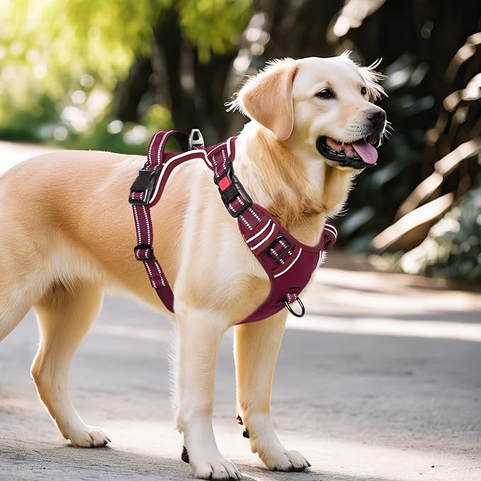 Timos Dog Harness, No Pull Large Sized with 3 Buckles, Burgundy, XL | Reflective, No Choke, Easy On & Off, Adjustable Soft Padded, Front & Back 2 Clips and Control Handle for Walking Training - Image 7