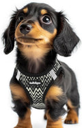rabbitgoo Step-in Small Dog Harness, Puppy Vest for Small Sized Pet | Easy Put on and off, Lightweight, Soft, Breathable Quick-Dry Air Mesh for Comfortable Secure Walking, Black Zigzag XXS by rabbitgoo