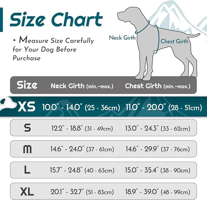 Eagloo Dog Harness for Small Dogs, No Pull Pet Vest with 2 Leash Clips | No Choke with Handle, Adjustable Comfort Fit, Reflective Strips, Easy Walking Control, Dark Green, X-Small - Image 2