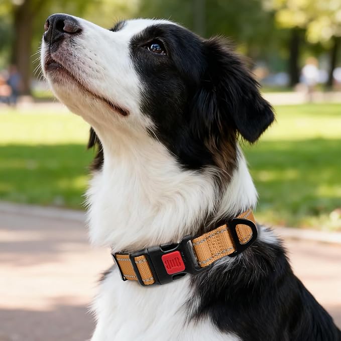 Taglory Reflective Dog Collar for Medium Dogs, Soft and Safe for Daily Walk | Soft Neck Cushioning, Adjustable 14-20 in, Sturdy Webbing Withstands Strong Pullers, Zinc Alloy D-Ring for Leash and ID Tags - Image 2