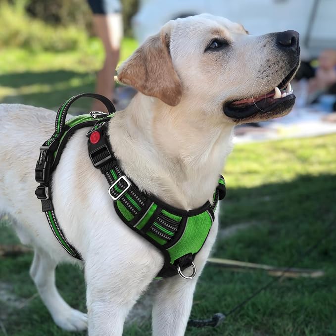rabbitgoo Dog Harness for Large, No Pull 3 Buckles Easy On & Off | Soft Padded, Walking with Control Handle, Adjustable and Reflective, Green, Large - Image 8