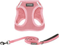Best Pet Supplies Voyager Step-in Air All Weather Mesh Harness and Reflective Dog 5ft Leash Combo with Neoprene Handle, for Small, Medium and Large Breed Puppies - Pink, Medium by BestPetSuppliesLLC