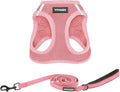 Best Pet Supplies Voyager Step-in Air All Weather Mesh Harness and Reflective Dog 5ft Leash Combo with Neoprene Handle, for Small, Medium and Large Breed Puppies - Pink, XX-Small by BestPetSuppliesLLC