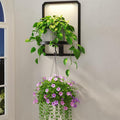 LASZOLA Plant Picture Frame Holder Shelf Wall with Lights, Black | Modern Floating Flower Hanger Indoor, Window Wall Mounted, with Hooks, Metal Planter Hanging Stand Display for Bathroom by LASZOLA