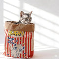 Durable Kraft Paper Cat Tunnel Bag, Extra Large Crinkle Sack for Indoor Cats & Kittens, 29.5" Collapsible Interactive Toy for Hiding & Hunting, Fits Bunnies, Rabbits and Ferrets by Unknown
