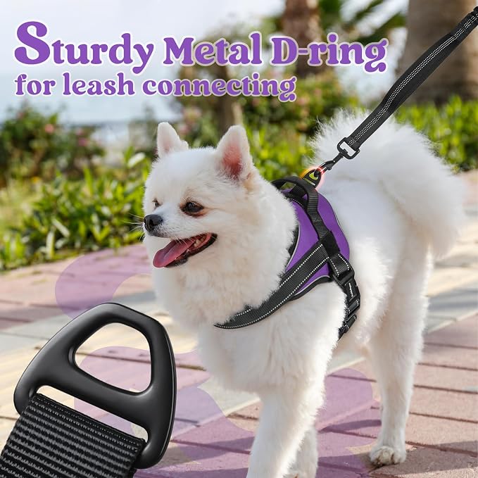 rabbitgoo No Pull No Choke Pet Vest, Adjustable Pet Harness with Molle | Medium Sized Dog Harness, Reflective, Easy Wearing with One Buckle for Walking, Training, Purple, M - Image 7