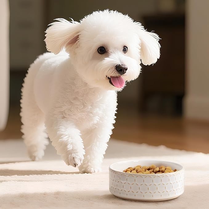 MALACASA Ceramic Dog Food Bowl, Water Dish for Small Breeds, 1.5 Cups | Honeycomb Pattern, Ceramic Pet Bowl, Food and Water Dish, Dishwasher and Microwave Safe, for Small Dogs and Cats - Image 7