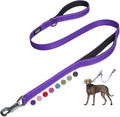 Fida Heavy Duty Dog Leash for Medium Large Dogs, 4 FT, Dual Padded Handles | Traffic Handle for Close Control, Advanced Easy Snap Hook, Reflective, Strong Nylon Webbing for Daily Walks Training, Purple by Fida