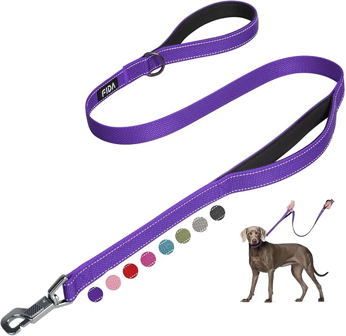 Fida Heavy Duty Dog Leash for Medium Large Dogs, 4 FT, Dual Padded Handles | Traffic Handle for Close Control, Advanced Easy Snap Hook, Reflective, Strong Nylon Webbing for Daily Walks Training, Purple by Fida