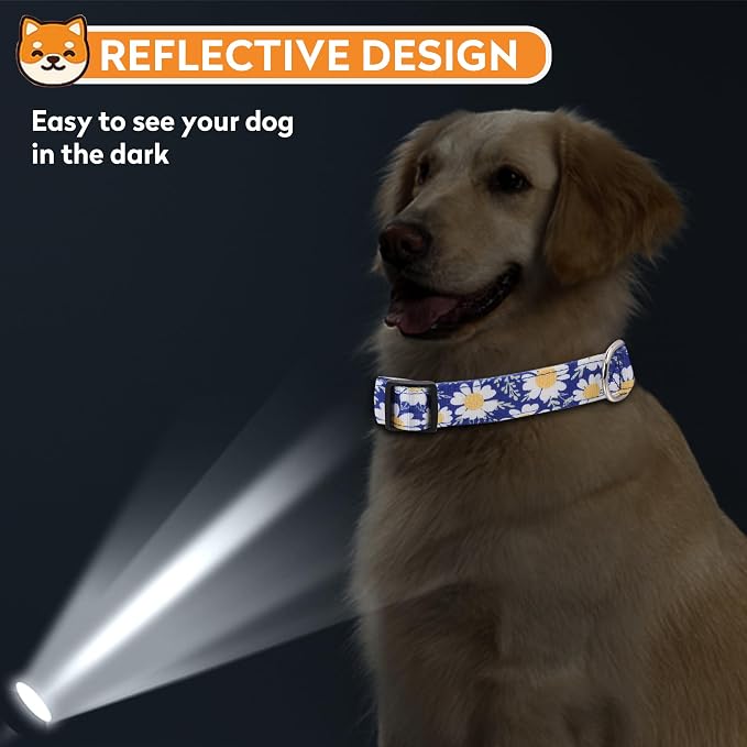 Reflective Dog Collar, Adjustable Neoprene Padded,Small Daisies Blue,M | Breathable Nylon for Medium Dogs,Tear-Resistant Webbing,Chafe‑Free on Walks and Hikes,Metal D-Ring,Night Safety - Image 6
