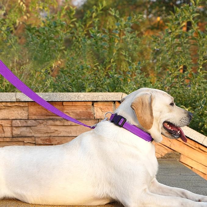 6 FT Basic Dog Leash for Small Dogs,Padded Handle, Magenta | Padded Handle,Metal D-Ring,Heavy Duty Nylon Webbing, for Walking & Training - Image 2