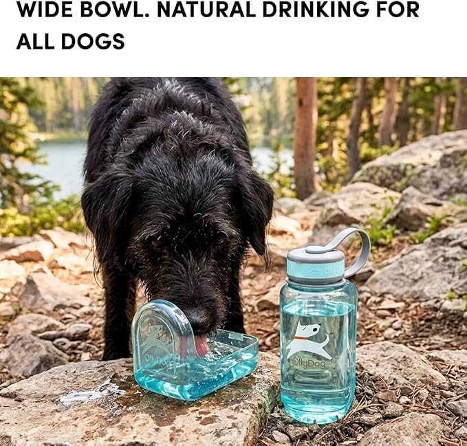 OllyDog OllyBottle Tritan Water Bottle with Detachable Dog Bowl | BPA Free Leakproof | 20oz | Share Water with Your Dog | Hiking Travel Camping (600ML, Aqua Blue) - Image 4