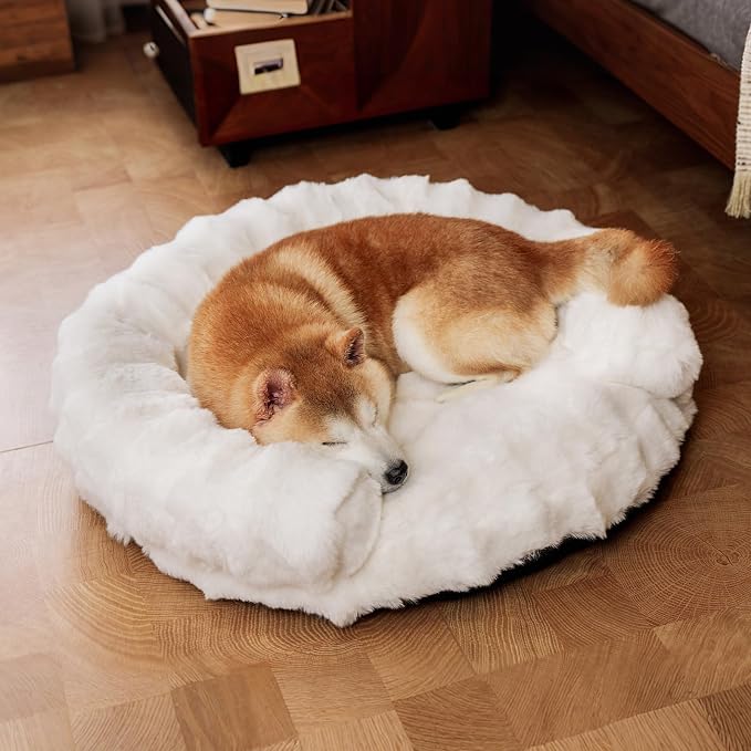 Dog Bed Couch Sofa for Small Medium Dogs Cats 30x30x9 Round White | Round Plush, Orthopedic, Washable, Removable Cover, Anxiety Relief by Unknown