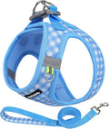 AIITLE Step in Medium Dog Harness and Leash Set, Puppy Pet Vest, Blue L | Breathable Mesh, Adjustable Fit, No-Pull Reflective Design, Escape Proof, for Small-Medium Dogs, Outdoor Walking, Running by AIITLE-FORPETSBETTERLIFE