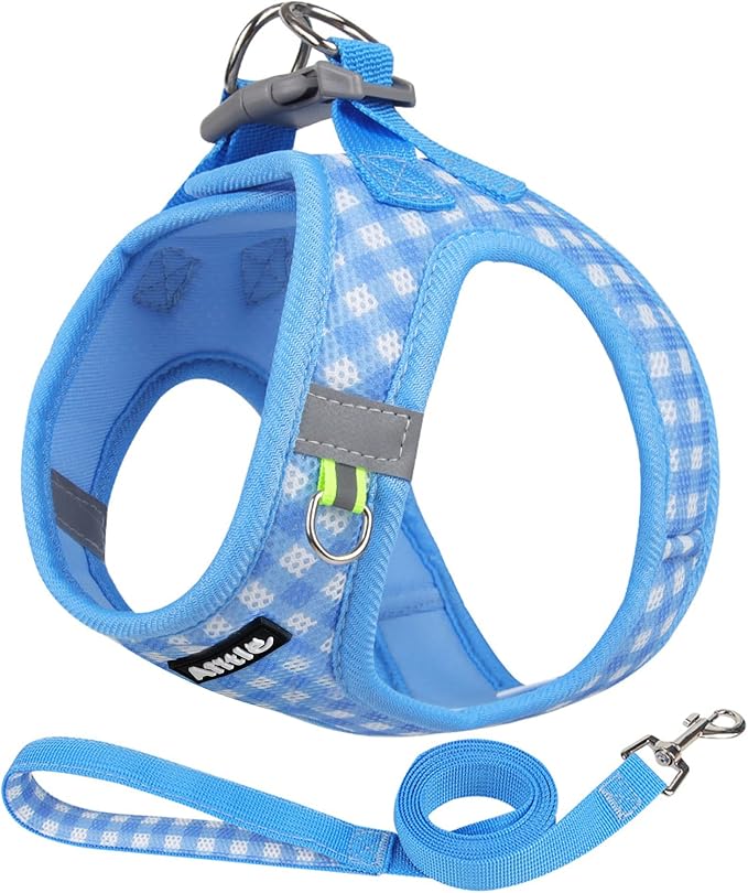 AIITLE Step in Small Dog Harness and Leash Set, Puppy Pet Vest, Blue XS | Breathable Mesh, Adjustable Fit, No-Pull Reflective Design, Escape Proof, for Small-Medium Dogs, Outdoor Walking, Running by AIITLE-FORPETSBETTERLIFE
