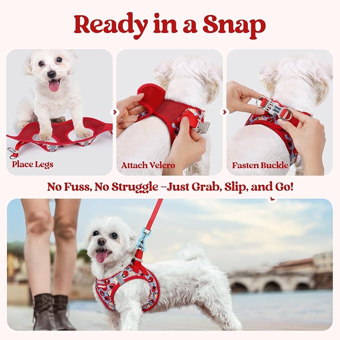 rabbitgoo Dog Harness Small Sized and Leash Set, Step-in Puppy Pet Vest | Light, Soft, Breathable Air Mesh, Easy on and Remove with Hook & Loop, Secure Reflective for Walking, Apple Pups XXS - Image 5