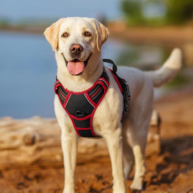 rabbitgoo Dog Harness, No Pull Medium Sized with 2 Leash Clips, Pet Vest | No Choke with Handle, Adjustable Soft Padded, Reflective, Easy Control for Walking, Black & Red, Medium - Image 7