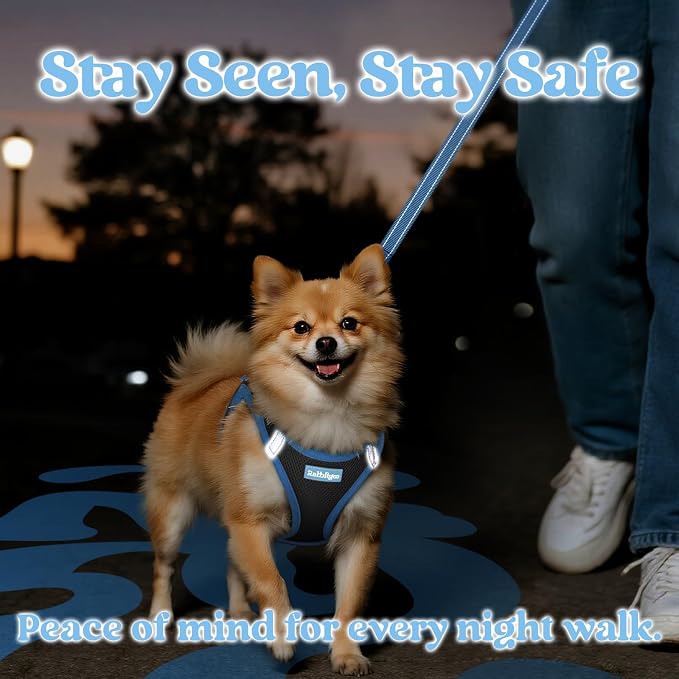 rabbitgoo Dog Harness Small Sized and Leash Set, Step in Soft Vest | Breathable Mesh, Easy Wear with Hook & Loop, Light and Reflective for Walking, Multi-colored, Black & Blue, S - Image 5