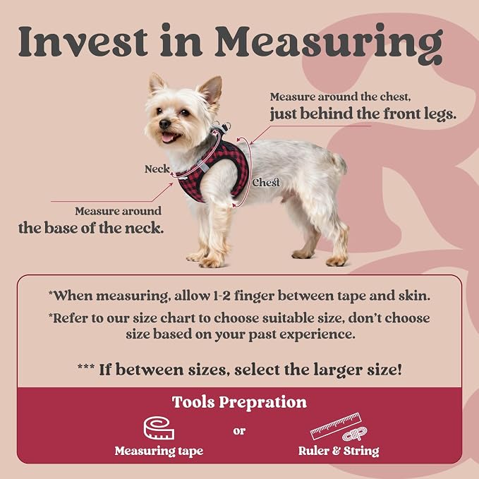 rabbitgoo Step-in Small Dog Harness, Puppy Vest for Small Sized Pet | Easy Put on and off, Lightweight, Soft, Breathable Quick-Dry Air Mesh for Comfortable Secure Walking, Red Check S - Image 2
