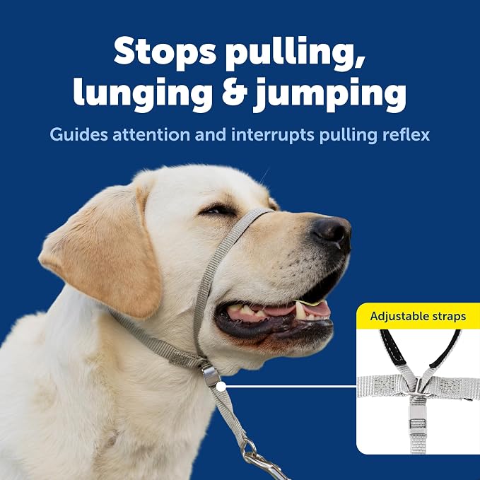 PetSafe Gentle Leader No Pull Dog Headcollar, Royal Blue, Small | Veterinary Behaviorist-Designed No-Pull Headcollar Redirects Pulling Instinct, Padded Neoprene Nose Loop, Quick-Snap Fit - Image 3