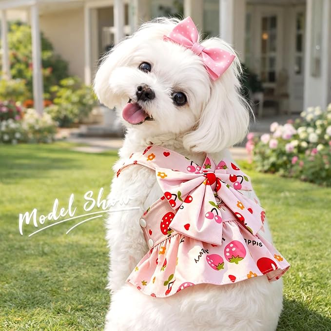 2Pack Small Dog Harness Dress for Girl Puppy Cat Dress with Strawberry&Lemon Pattern Adjustable Breathable D-Ring Outfits for Small Puppy Cat Dresses for Cats Only or Dog Girl Clothes - Image 2