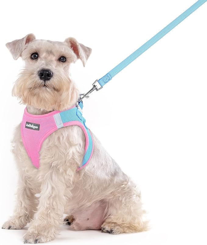 rabbitgoo Dog Harness Medium Sized and Leash Set, Step-in Puppy Pet Vest | Light, Soft, Breathable Air Mesh, Easy on and Remove with Hook & Loop, Secure Reflective for Walking, Blue & Light Pink XXL by rabbitgoo