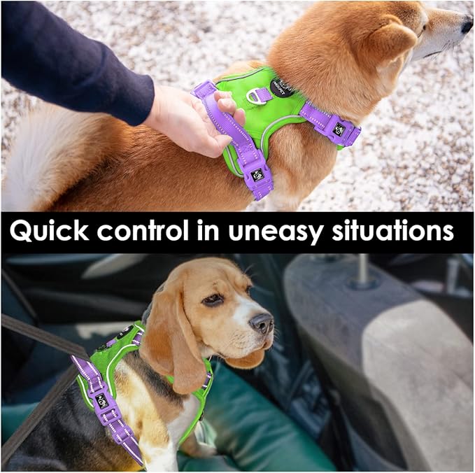 No Pull Dog Harness, Unique Colors Reflective Adjustable Dog Vest | with Soft Training Handle Metal Clips for Small Medium Large Dogs (Green Base & Purple Straps,S) - Image 5