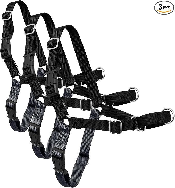 PetSafe Easy Walk No-Pull Dog Harness - Ultimate Harness to Help Stop Pulling-Pull-Free Walks-Take Control & Teach Better Leash Manners-Patented Martingale Loop Design-Gray,Medium/Large (Pack of 3) by PetSafe