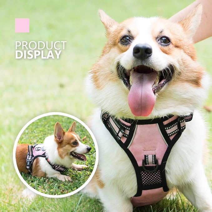 PoyPet Dog Harness Small, No Pull Vest with Front/Back Clip & Neck Buckle | No Choke, Lockable, Reflective, 2 Lead Rings, Adjustable, Soft Padded Handle for Training Walking, S, Light Pink - Image 7