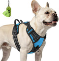 Joytale No Pull Dog Harness for Small Dogs, Front Clip, Sky Blue | Grab Handle for Instant Control, Padded & Adjustable Vest, Sturdy Metal D-Rings, for Safe Training & Daily Walking by Joytale