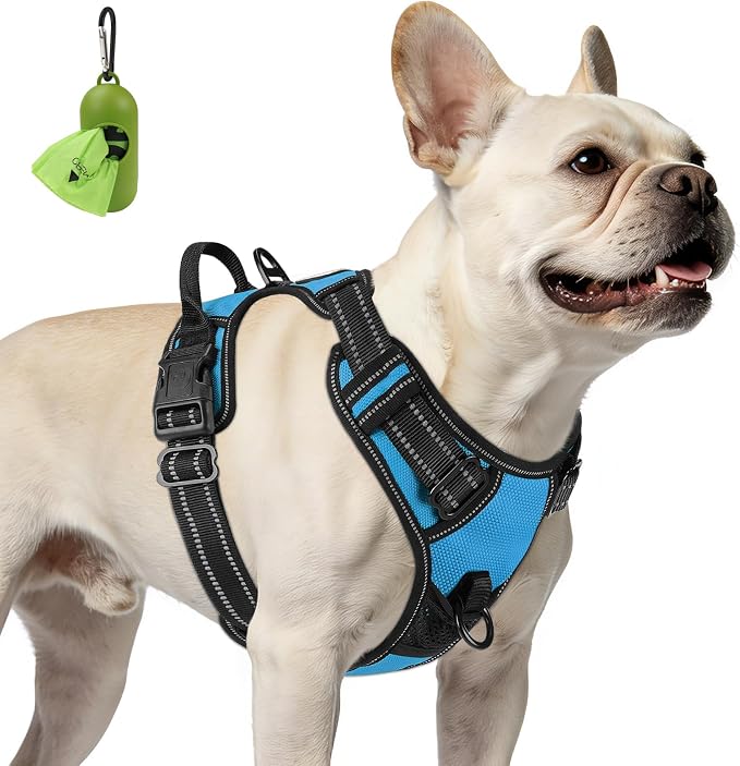 Joytale No Pull Dog Harness for Small Dogs, Front Clip, Sky Blue | Grab Handle for Instant Control, Padded & Adjustable Vest, Sturdy Metal D-Rings, for Safe Training & Daily Walking by Joytale