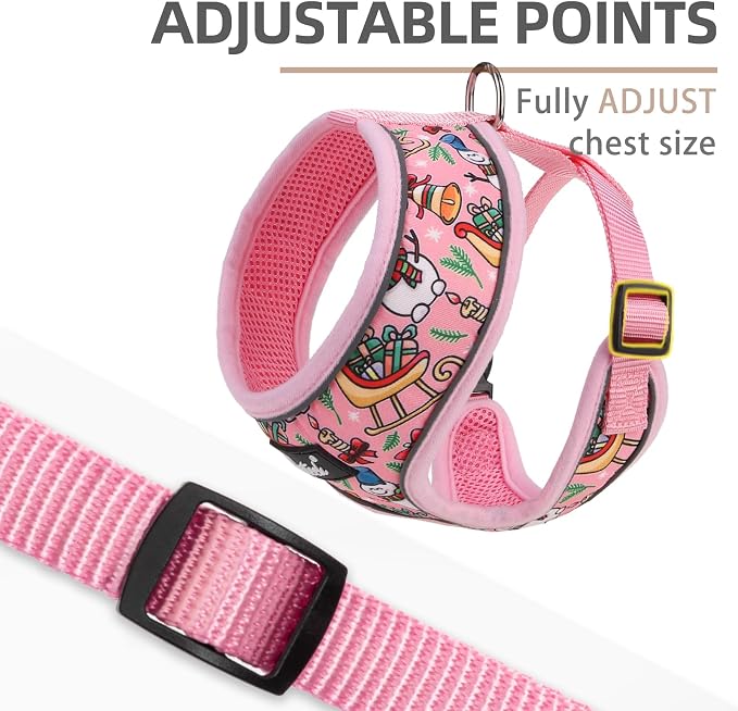 PUPTECK Small Dog Harness and Leash Set No Pull for XS XXS Sized Dogs Puppy | Escape Proof No Choke Pet Cat Adjustable Soft Padded Walking Vest - Image 3