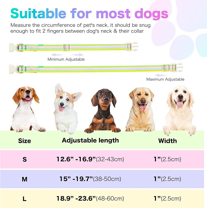Light Up Dog Collar, Rechargeable LED Dog Collar, Color Changing Dog Collar for Night Walking, Adjustable Lighted Dog Collar for Small Medium Large Dogs, Multicolor Stripe, USB Rechargeable (M) - Image 7