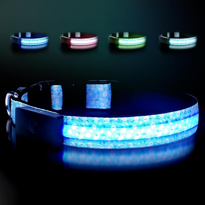 LED Dog Collar Rechargeable, Brightest Light Up Dog Collars, Daisy M | 1,600 Feet of High Visibility, Magnetic Charging, Glow in Dark Dog, Nylon Materials, Lights for Night Walking by Unknown