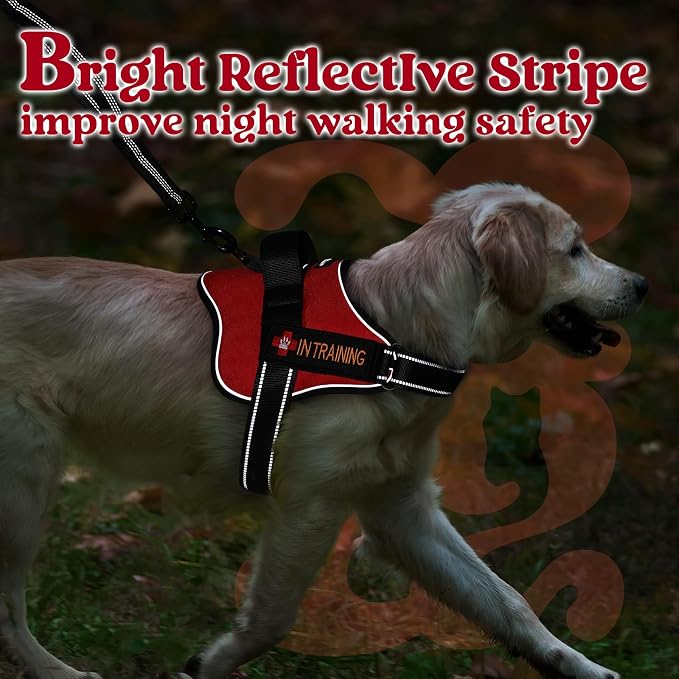 rabbitgoo No Pull No Choke Pet Vest, Adjustable Pet Harness with Molle | Medium Sized Dog Harness, Reflective, Easy Wearing with One Buckle for Walking, Training, Red, M - Image 9