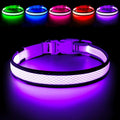 Flashseen LED Light Up Dog Collar, USB Rechargeable, Purple, S | Super Bright Lighted Dog Collar, Adjustable Breathable Mesh, Glow Collar for Dog Night Walking by Flashseen