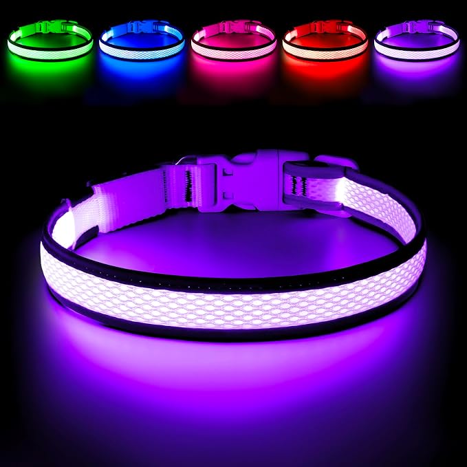 Flashseen LED Light Up Dog Collar, USB Rechargeable, Purple, S | Super Bright Lighted Dog Collar, Adjustable Breathable Mesh, Glow Collar for Dog Night Walking by Flashseen