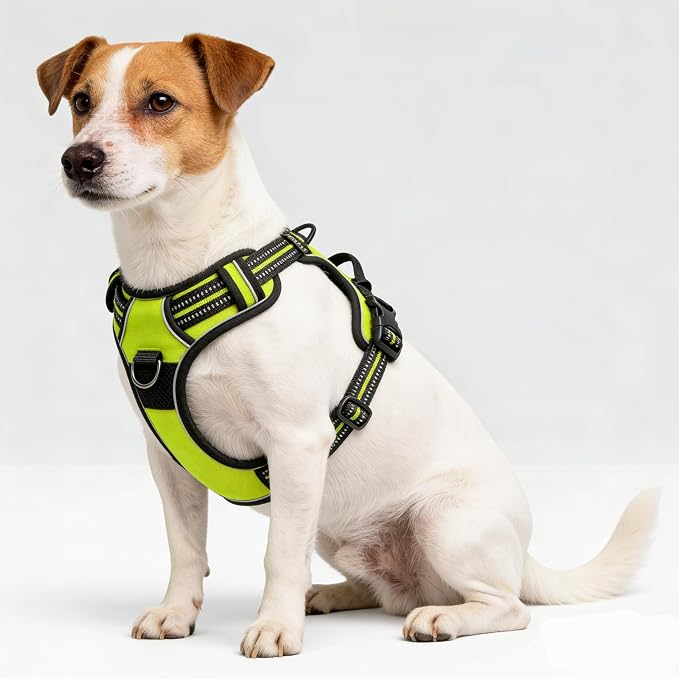 Green No-Pull Dog Harness with 2 Leash Clips，Soft Padded Vest for Small Dog, Adjustable Reflective Dog Vest Easy to Put on and Take Off,(Neck: 13"~17", Chest: 17"~21",Green Small) - Image 5
