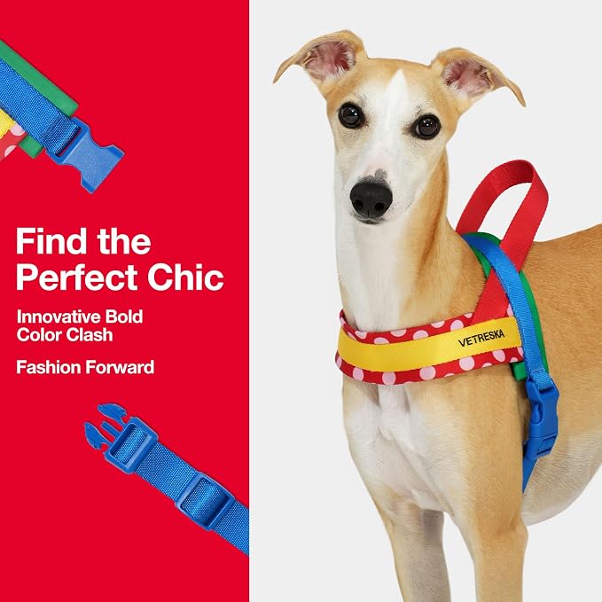 VETRESKA MoMA Dog Harness and Leash Set, No-Pull Puppy Harness (Red, S) | for Walking and Training, Easy Walk Dog Harness for Small Medium Dogs, Adjustable, Take Control & Anti-Twist Pet Lead Combo - Image 4