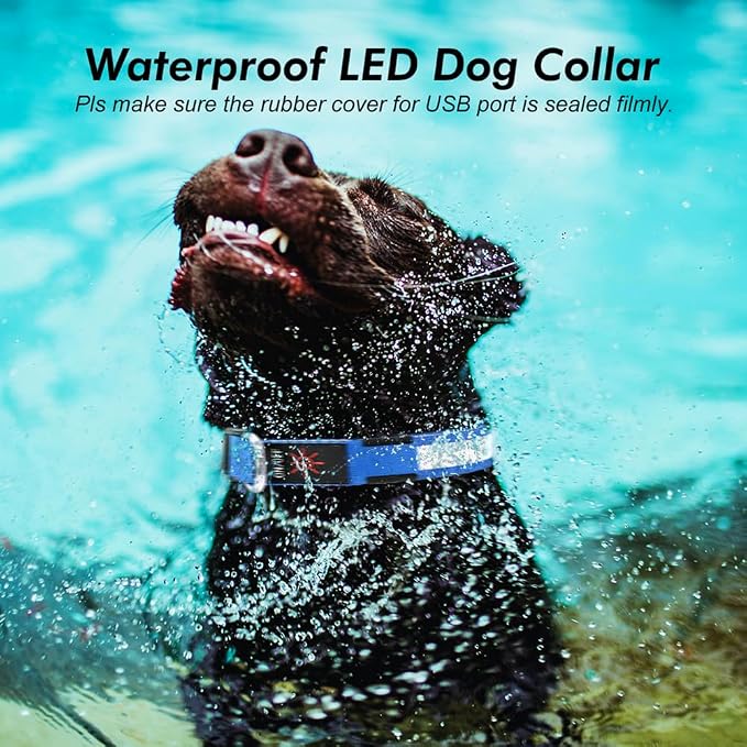 Illumifun LED Collar for Dogs, USB Rechargeable Light Up Dog Collars Glow in the Dark (Blue, Small) - Image 7