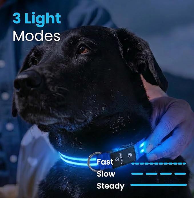 Tractive LED Light Up Dog Collar USB Rechargeable Waterproof (Blue) - Image 4