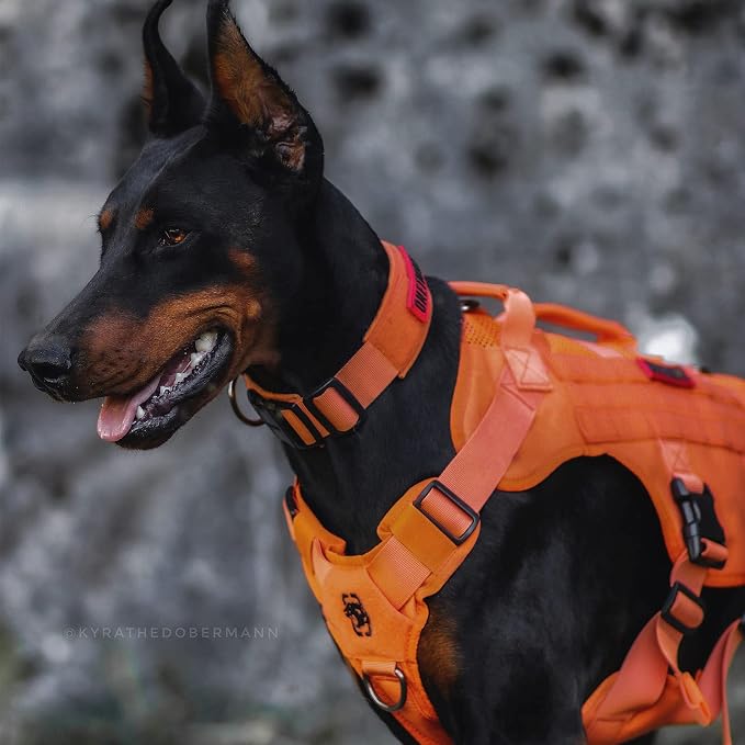 OneTigris - Tactical Dog Harness No Pull for Medium Dogs, Breathable Mesh Design, Service Dog Vest with Handle and Molle Bags, Adjustable Suit for Walking Hiking - Image 7