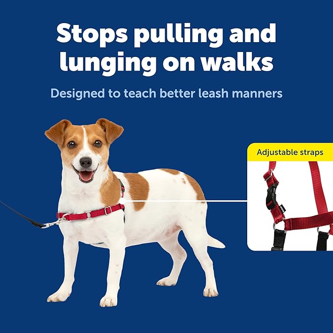 PetSafe Easy Walk Harness, No Pull Dog Harness, Red, Small | Patented Martingale Loop Gives Gradual Shoulder Pressure to Stop Pulling, Front-Chest Leash Clip Prevents Gagging - Image 3